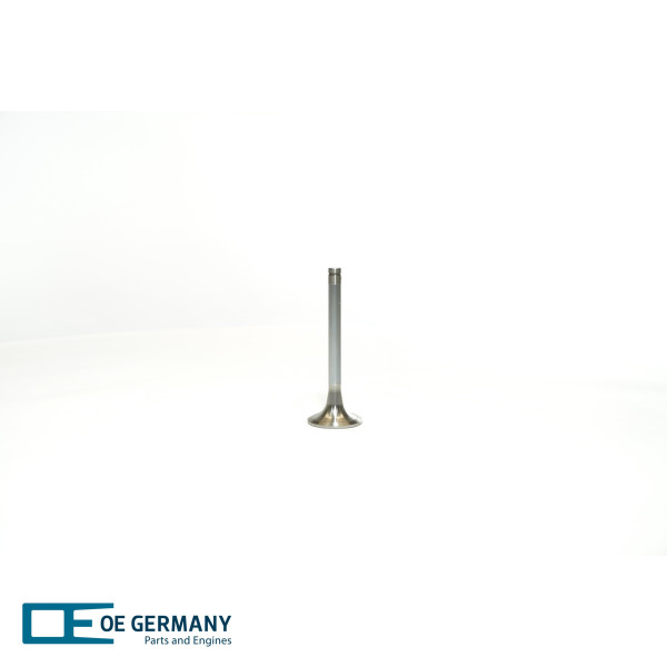 020520280001, Výfukový ventil, Ventil výfuk.EX (1), OE Germany, 51041010439